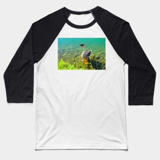 View from Santarelli lakes with a goose walking on some rocks in the aquamarine lake with fresh greenery Baseball T-Shirt